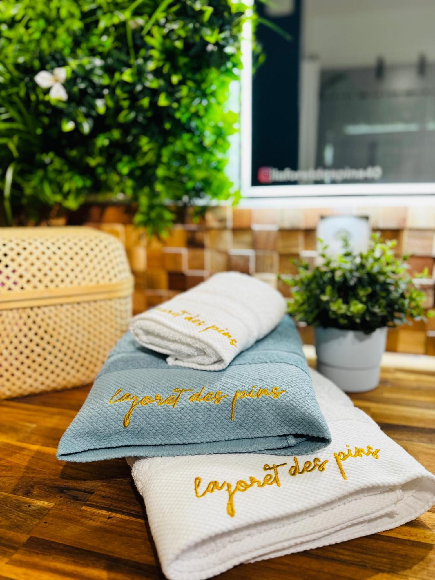 La Foret Des Pins - Free Check-In - Wifi - Parking Prive - Netflix - Draps & Serviettes Inclus Лабенн Екстер'єр фото