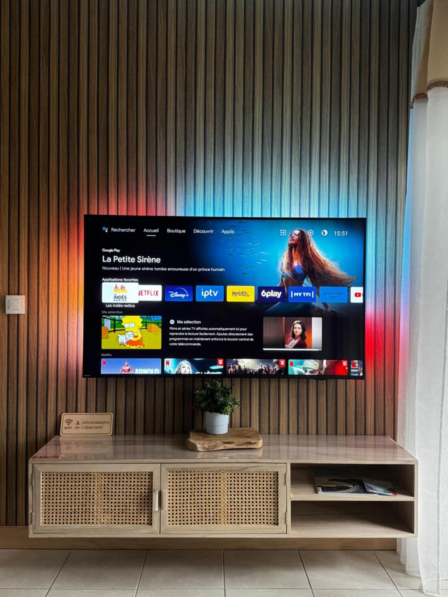 La Foret Des Pins - Free Check-In - Wifi - Parking Prive - Netflix - Draps & Serviettes Inclus Лабенн Екстер'єр фото