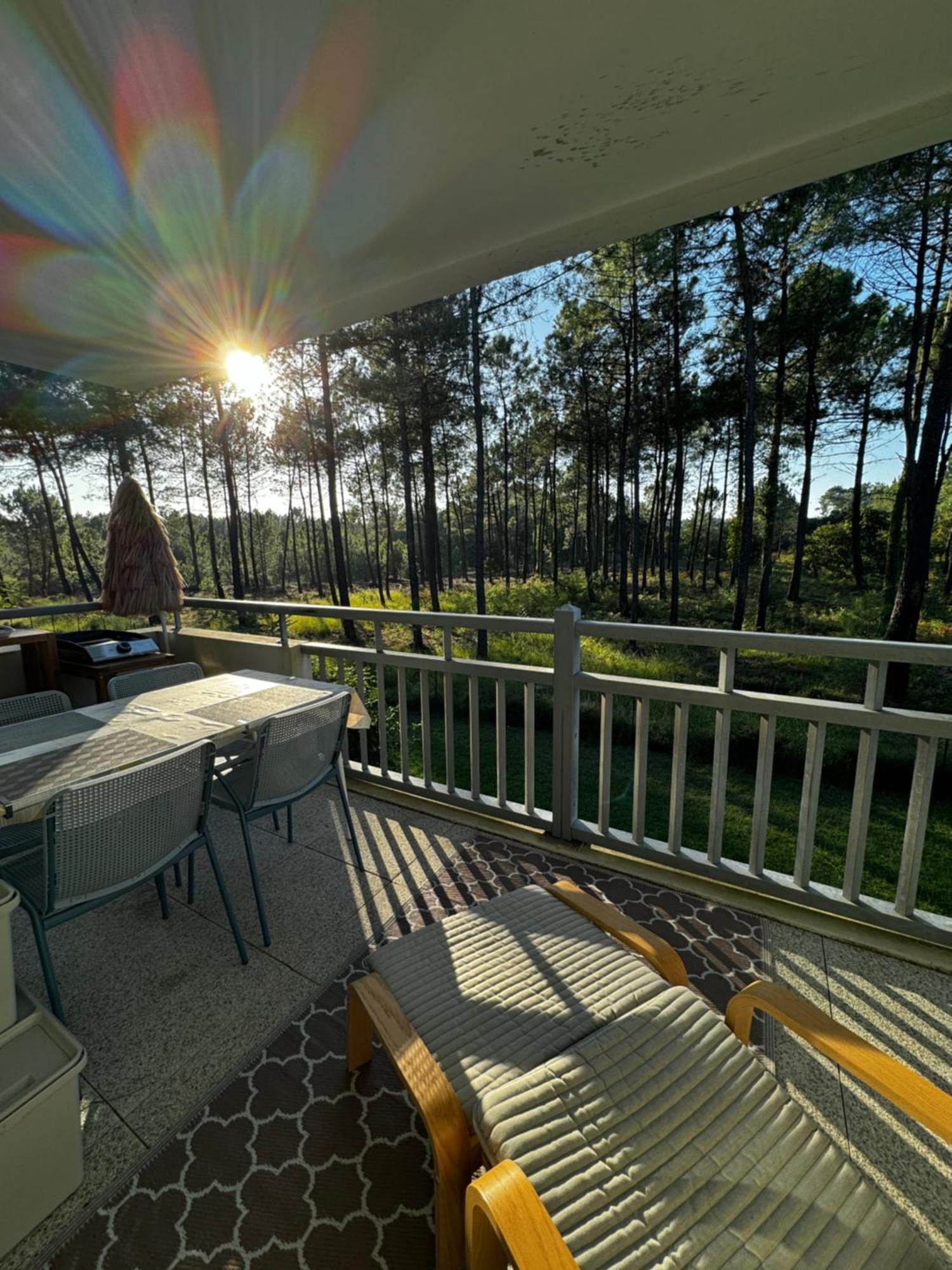 La Foret Des Pins - Free Check-In - Wifi - Parking Prive - Netflix - Draps & Serviettes Inclus Лабенн Екстер'єр фото
