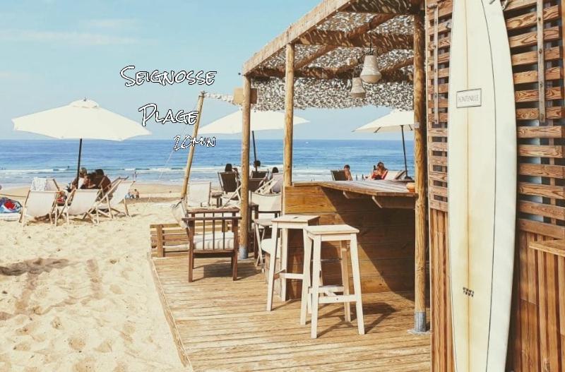 La Foret Des Pins - Free Check-In - Wifi - Parking Prive - Netflix - Draps & Serviettes Inclus Лабенн Екстер'єр фото