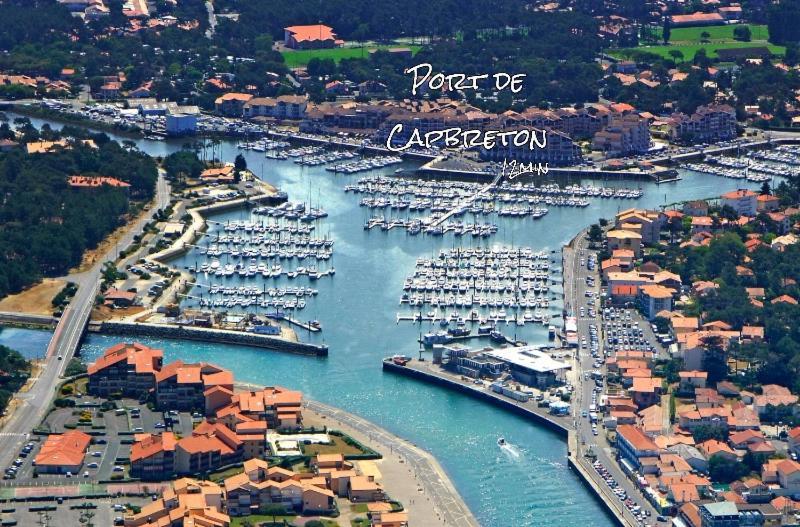 La Foret Des Pins - Free Check-In - Wifi - Parking Prive - Netflix - Draps & Serviettes Inclus Лабенн Екстер'єр фото