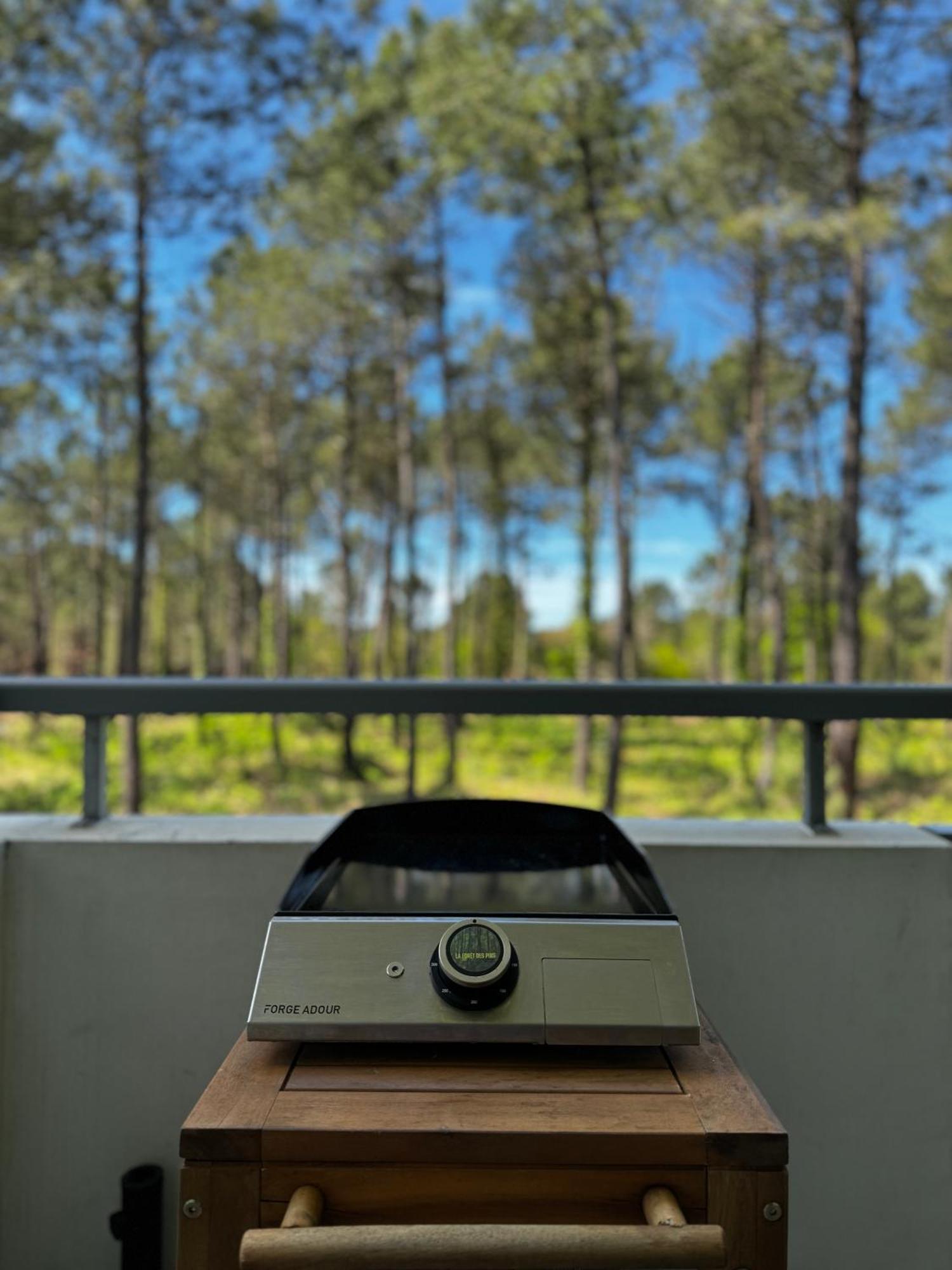 La Foret Des Pins - Free Check-In - Wifi - Parking Prive - Netflix - Draps & Serviettes Inclus Лабенн Екстер'єр фото