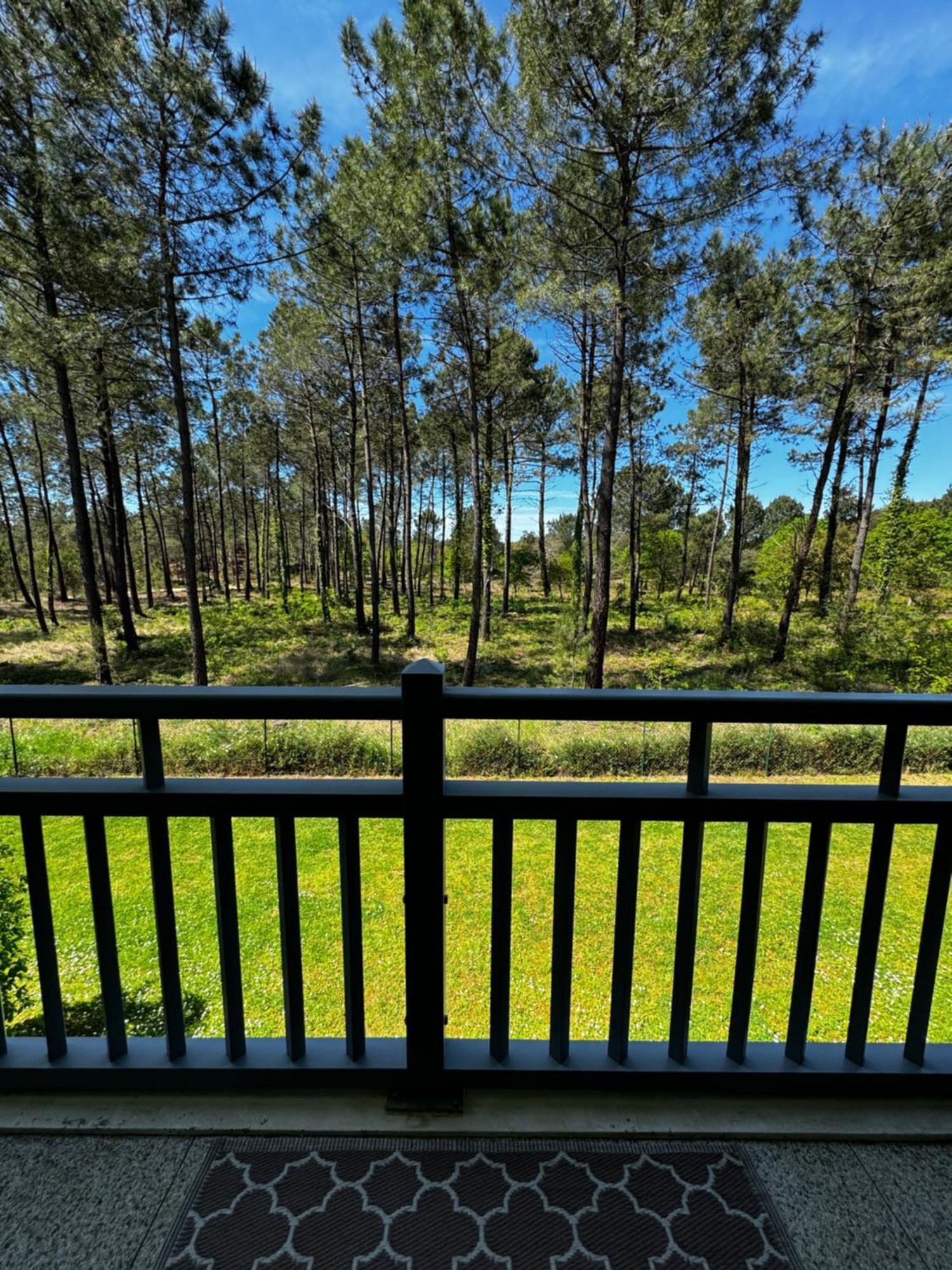 La Foret Des Pins - Free Check-In - Wifi - Parking Prive - Netflix - Draps & Serviettes Inclus Лабенн Екстер'єр фото